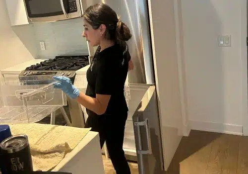 Is Professional Help Necessary For House Deep Cleaning?